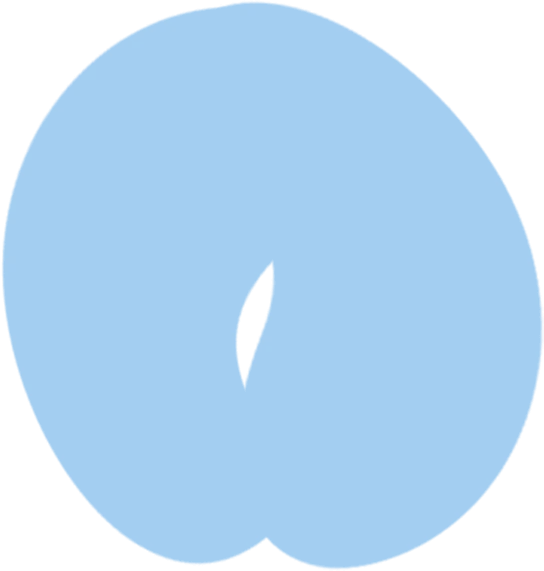 Shape